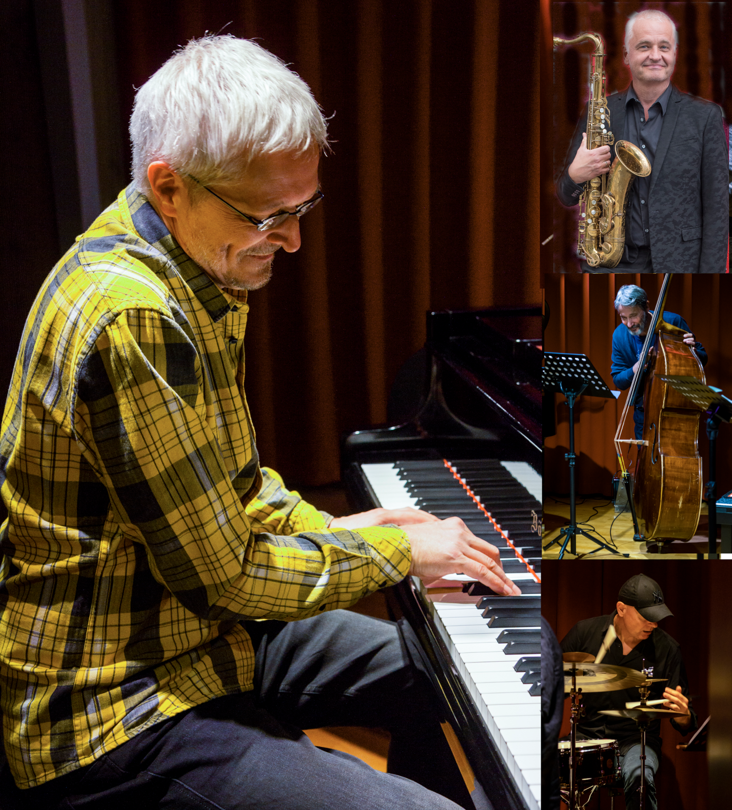 Reinhard Micko Pressefoto Senses